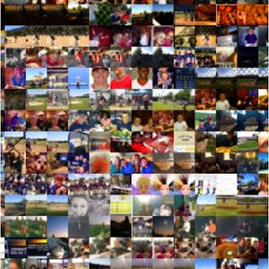 Meet your Posher, Shelley